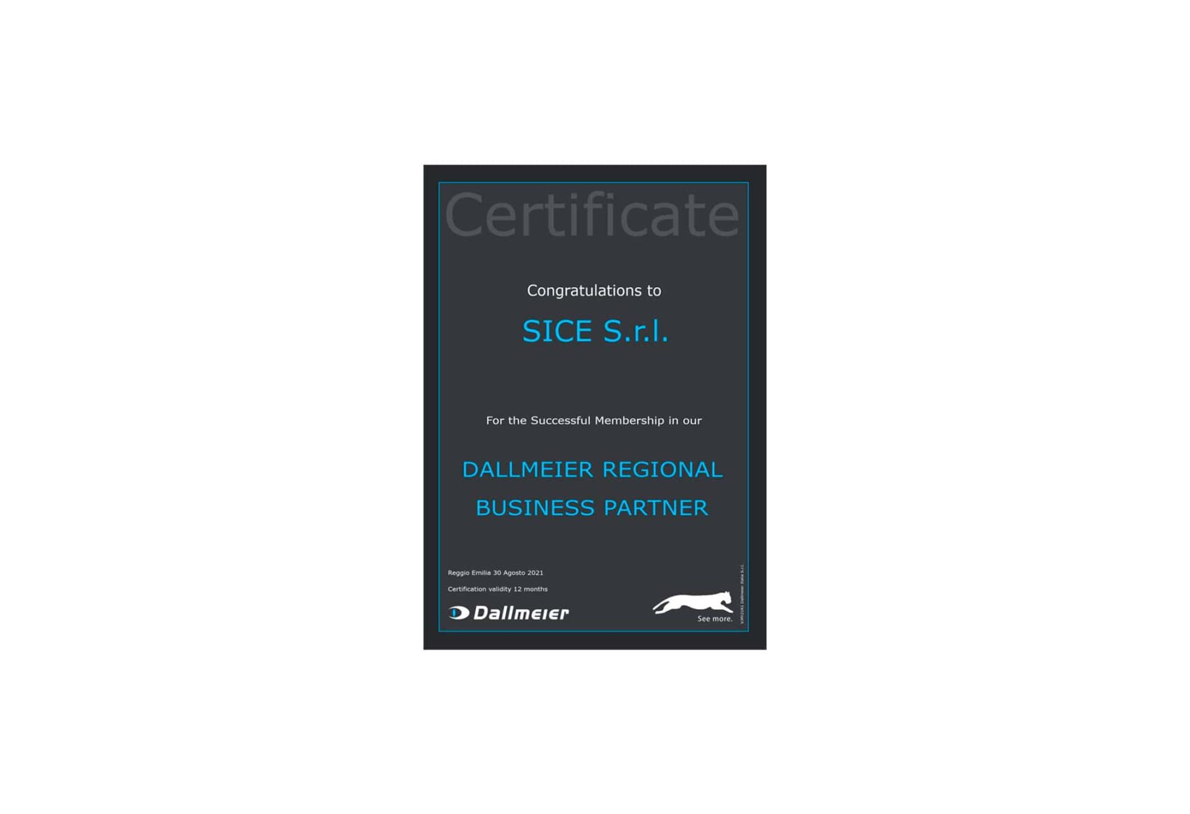 SICE diventa partner certificato di Dallmeier GmbH